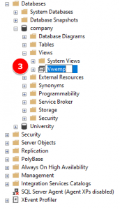 rename view sql server